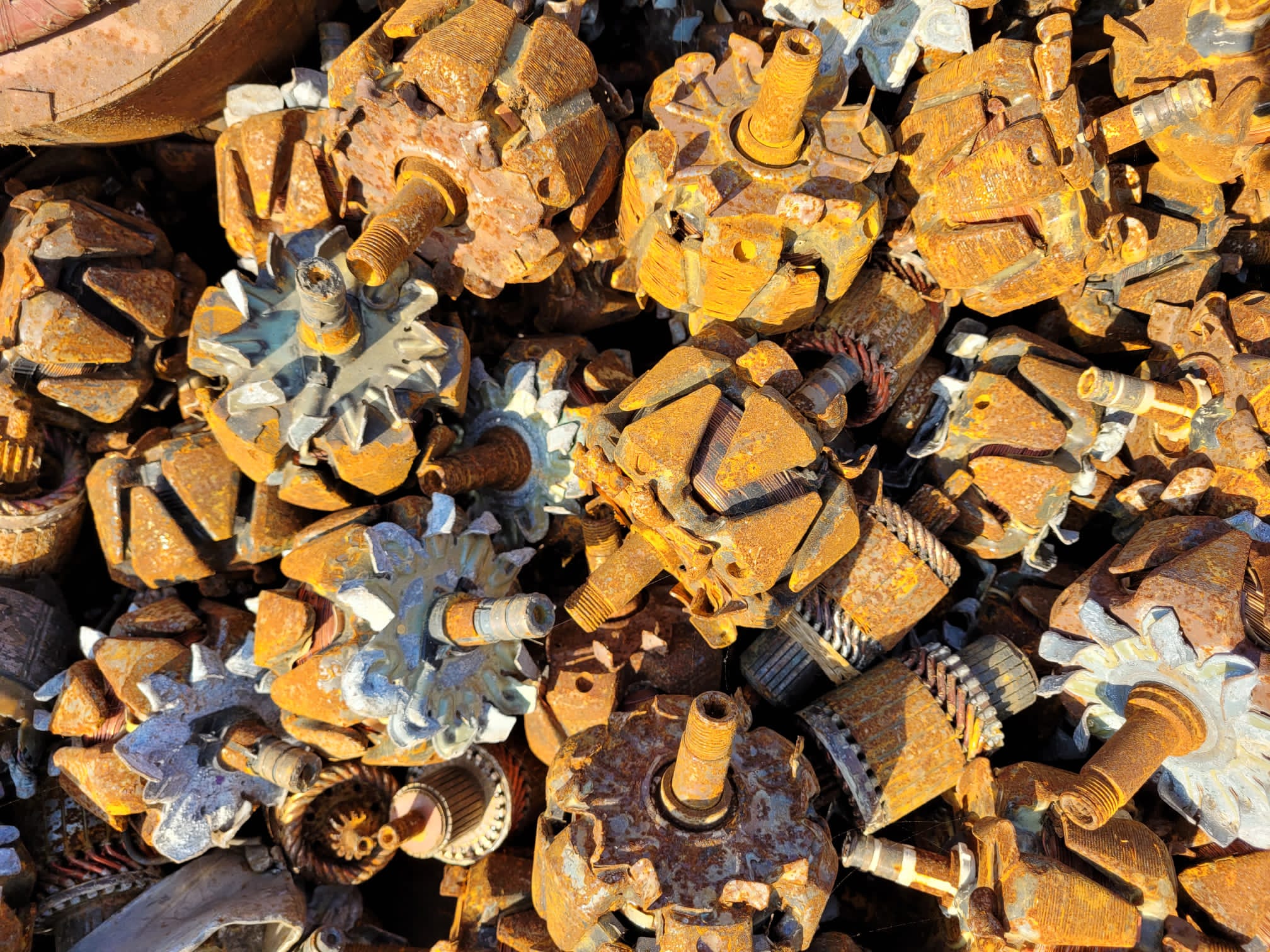 Crabs